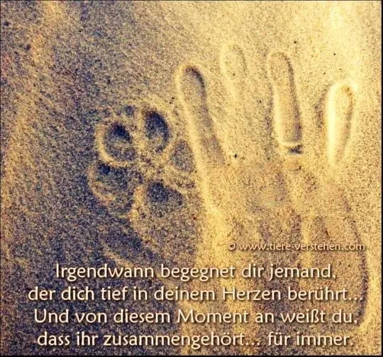 Condolence image of Oma Gudrun