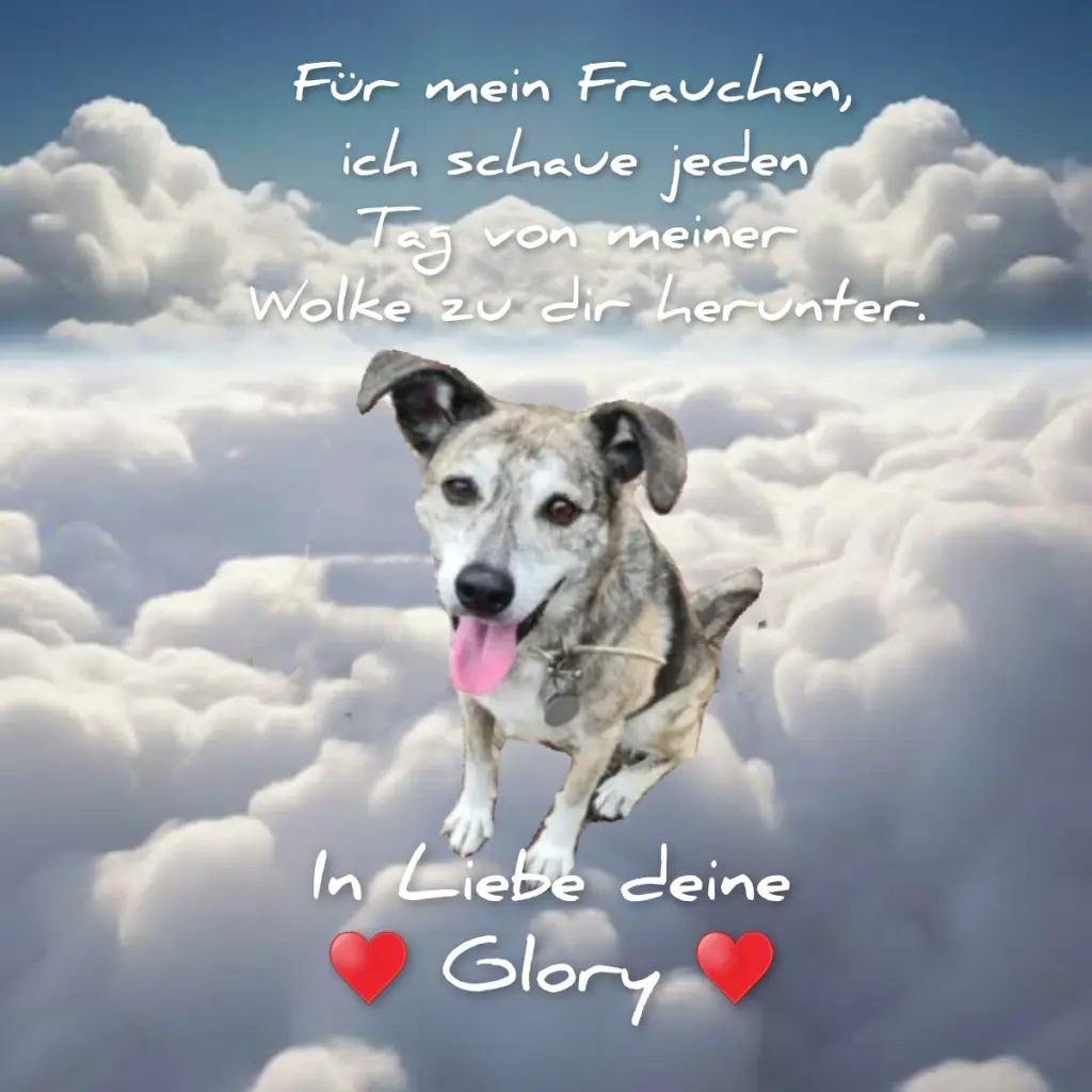 Condolence image of Oma Gudrun