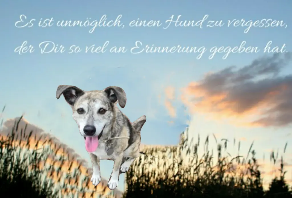 Condolence image of Oma Gudrun