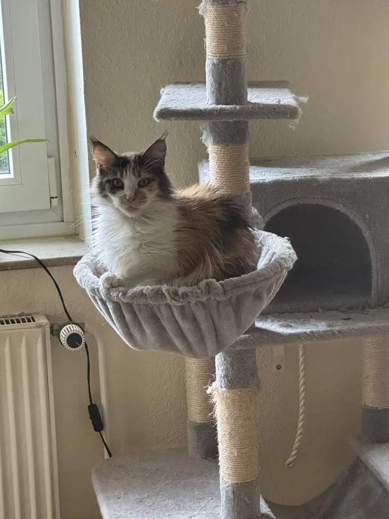 Bild von Helga