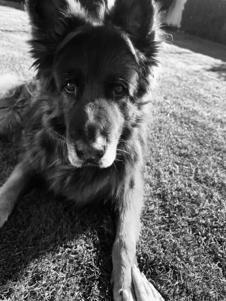 Bild von Jack