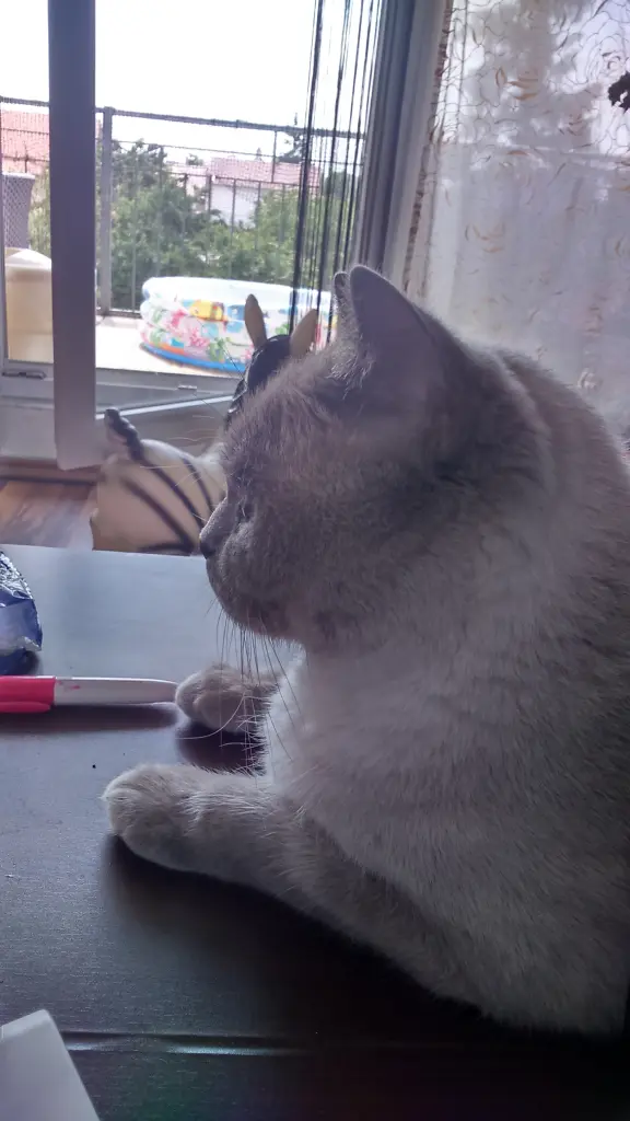 Condolence image of Marko Stieber