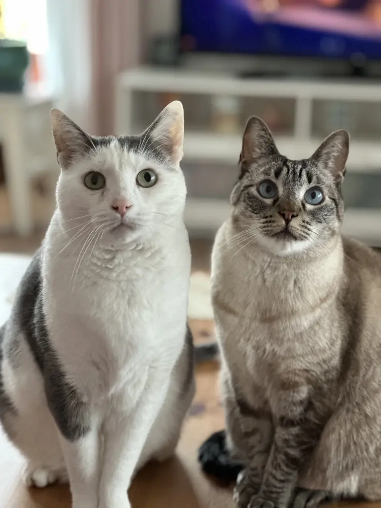 Condolence image of Sarah