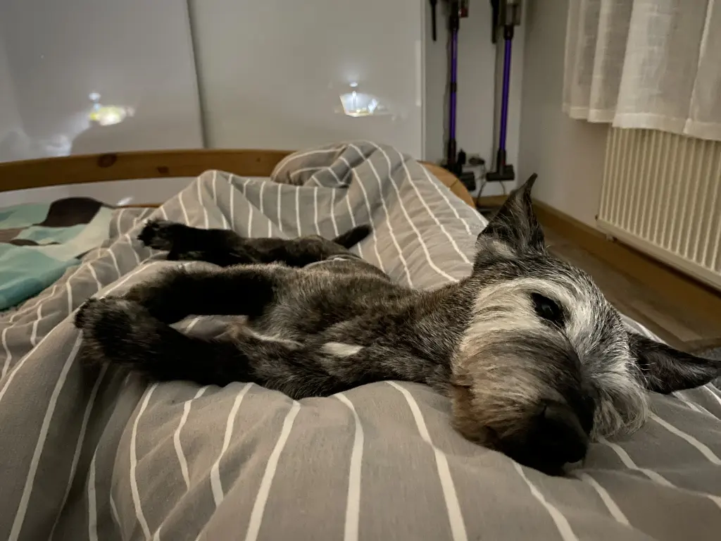 Letzte Nacht