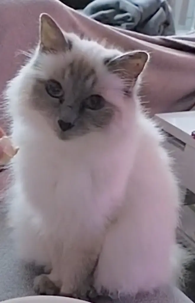 Condolence image of Robin L.