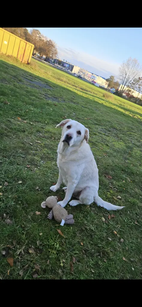 Bild von Lucky