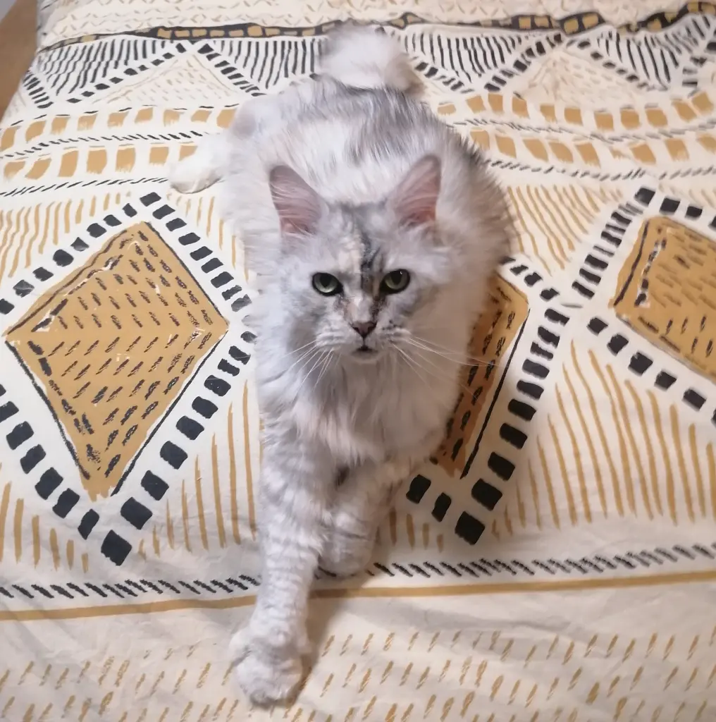 Stets für eine Kuschelpartie zu haben ♥️