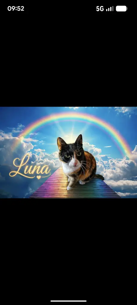 Condolence image of Petra Quast