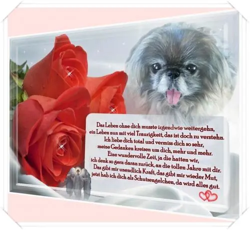 Image from meine kleine, süße Sina