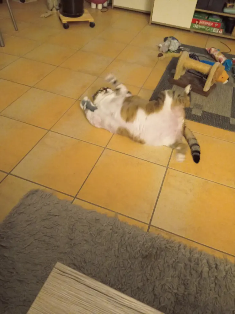 Condolence image of Irmgard