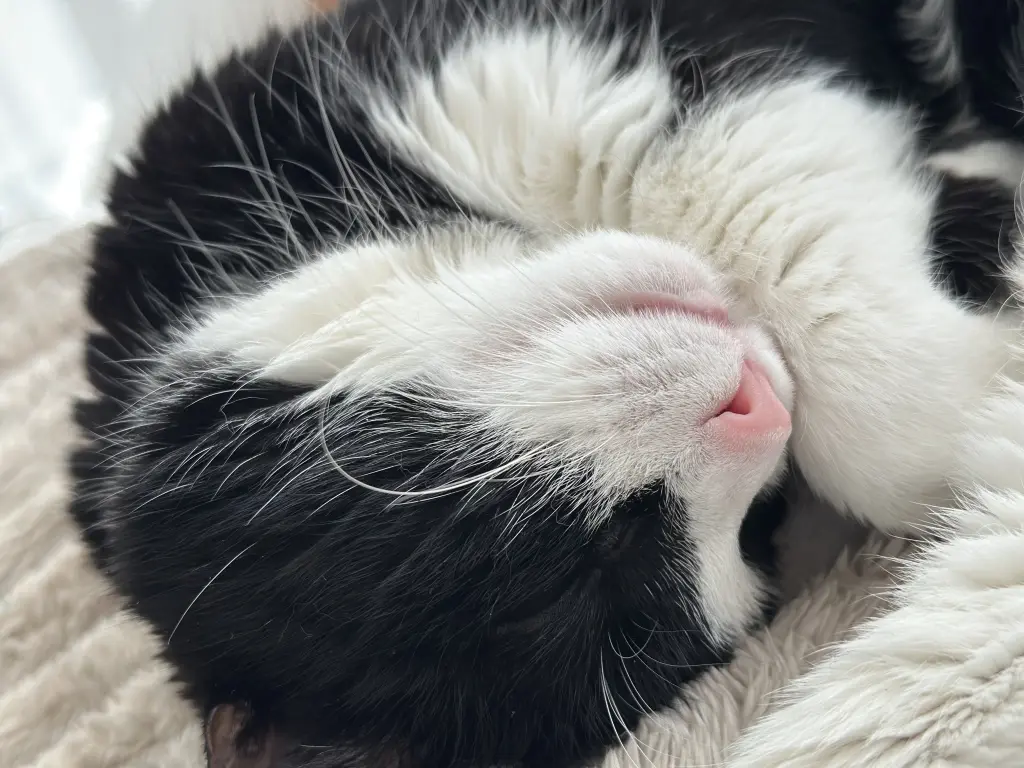 Bild von Bubbi❤️