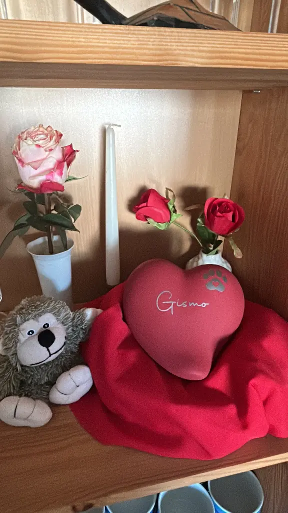 Erinnerungen
🌈❤️🥰💋🌈