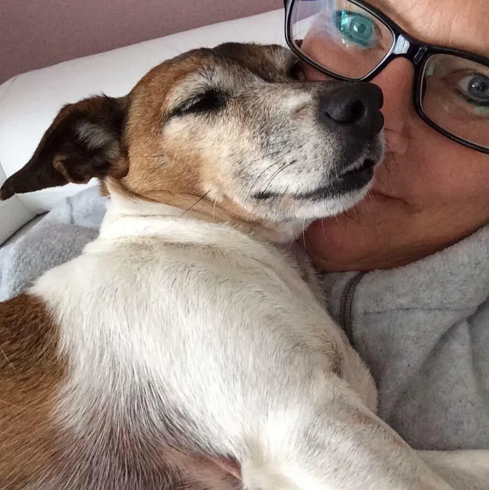 Image from Evi