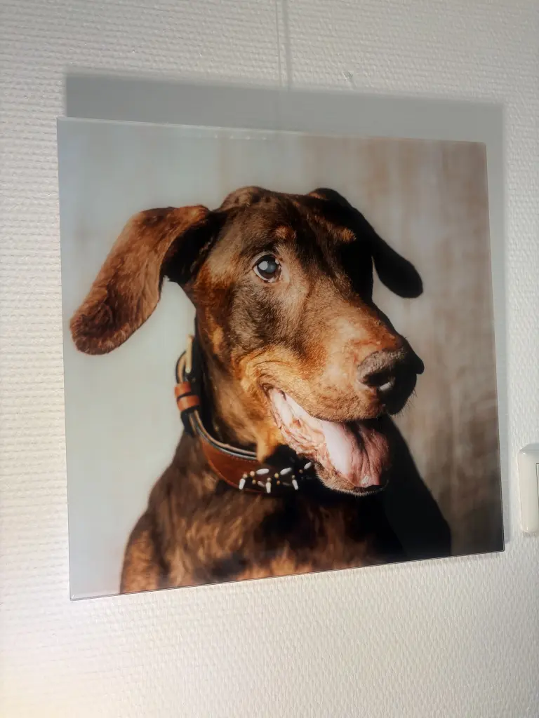 Image from Henry