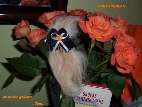 Image from mein Goldsternchen - meine zutiefst geliebte Sina