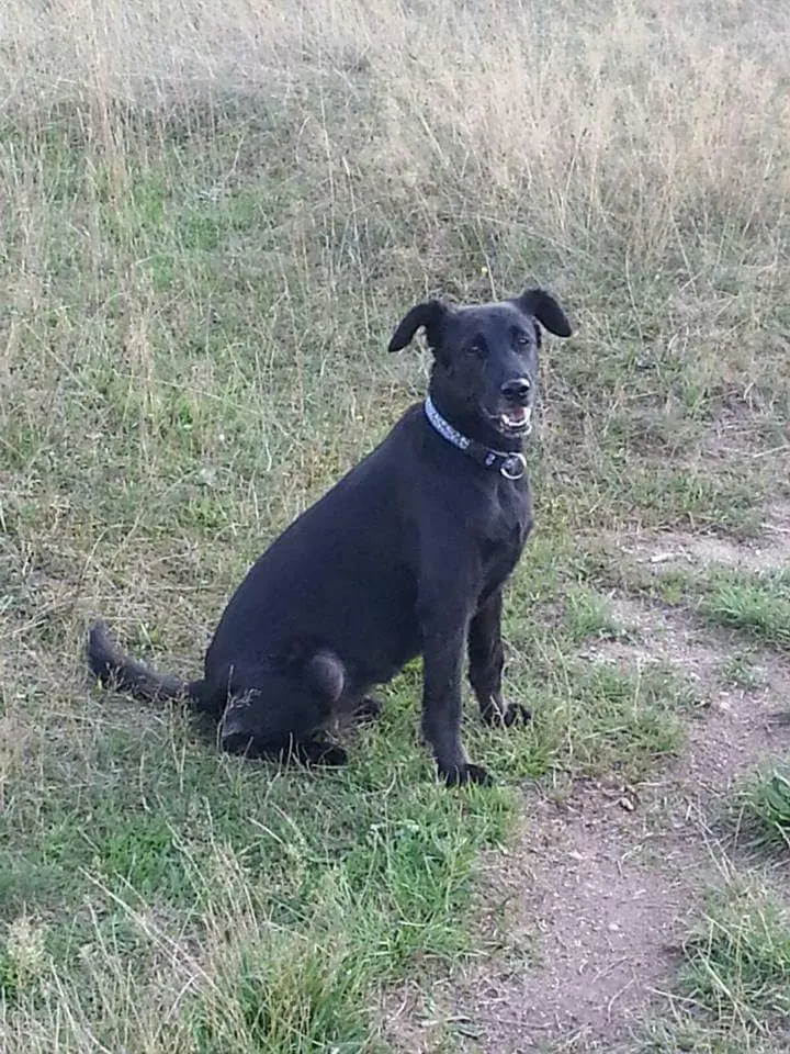 Bild von Chili
