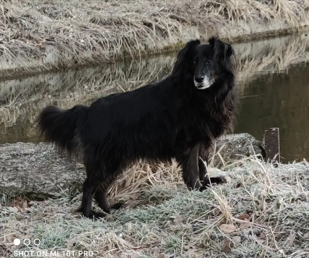 Bild von Chili