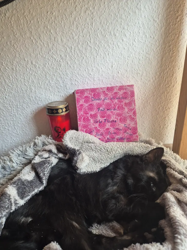 Bild von Flocke