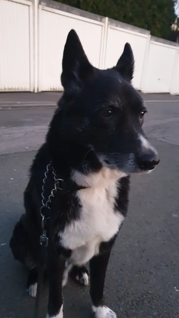 Bild von Jack