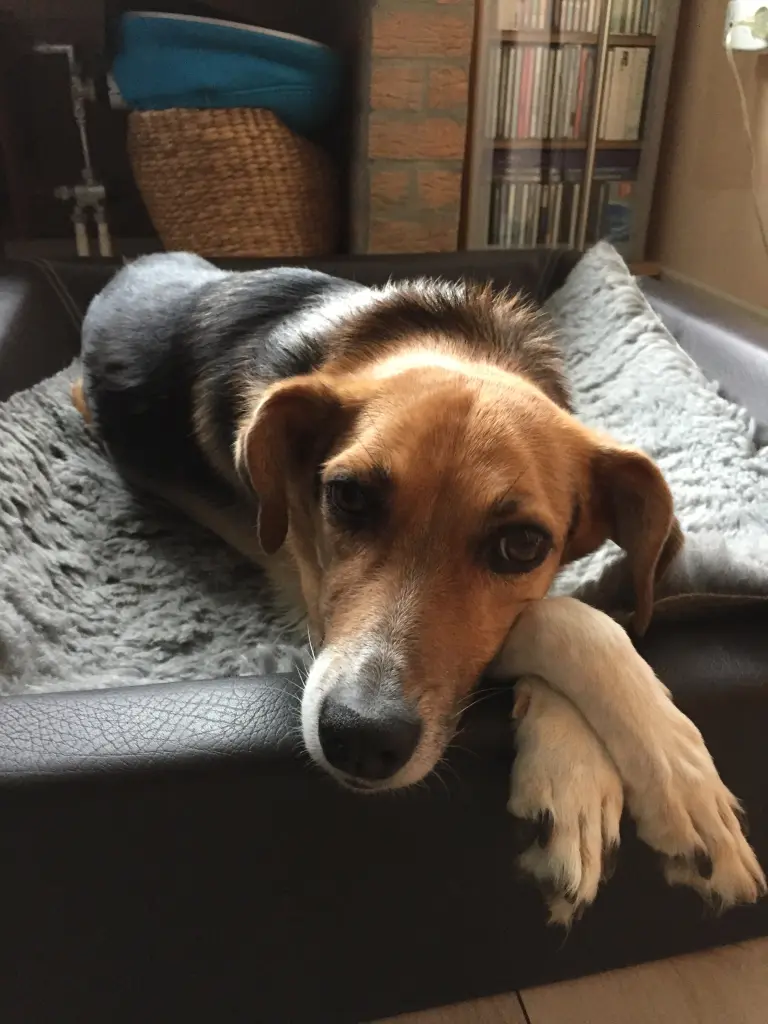 Bild von Zoe
