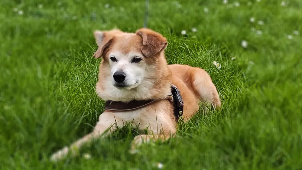 Bild von Max