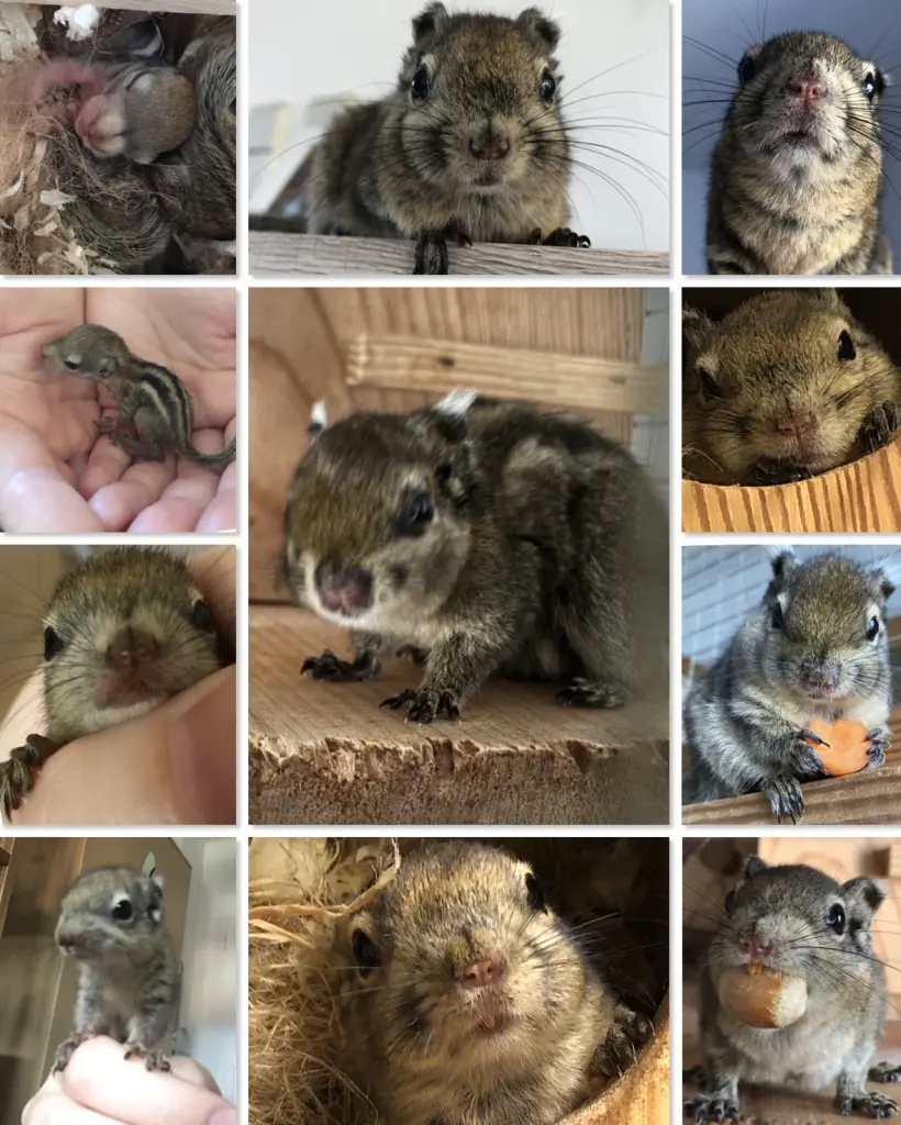 Bild von Bumpy