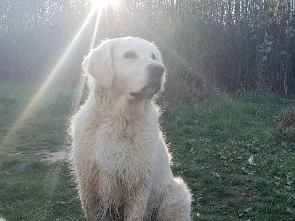 Bild von Milow