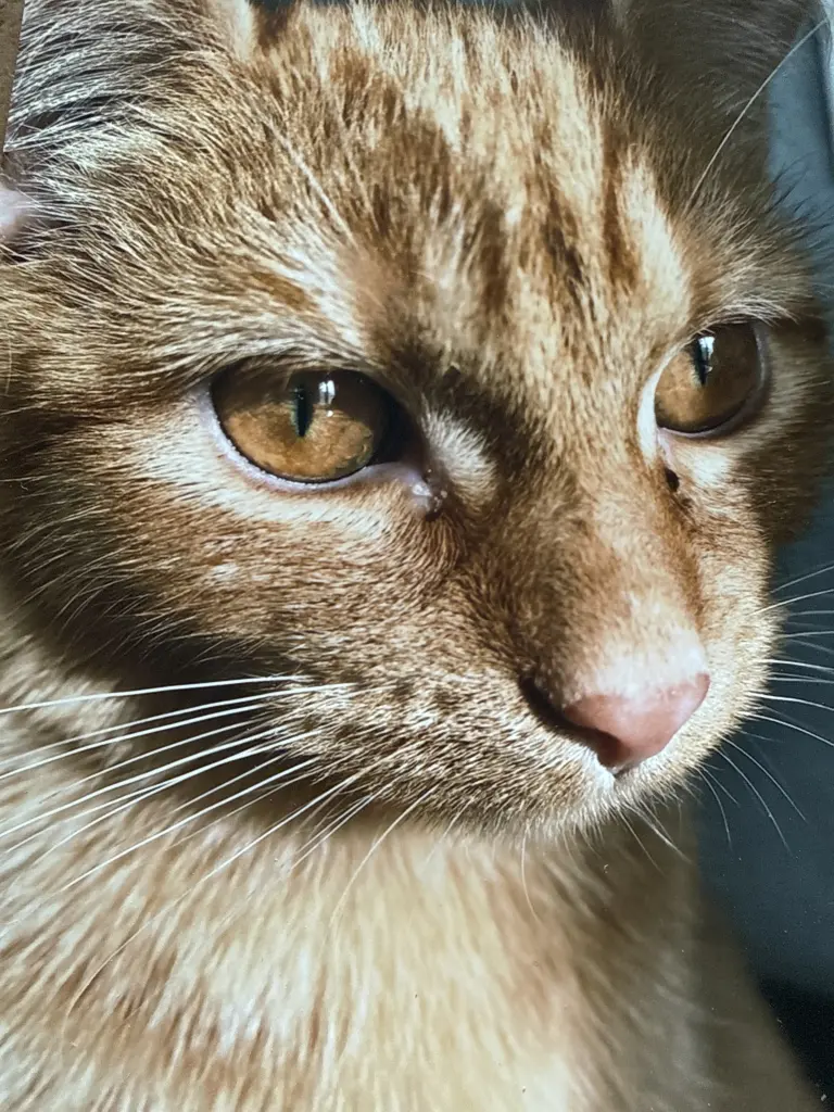 Andachtsbild von Malou