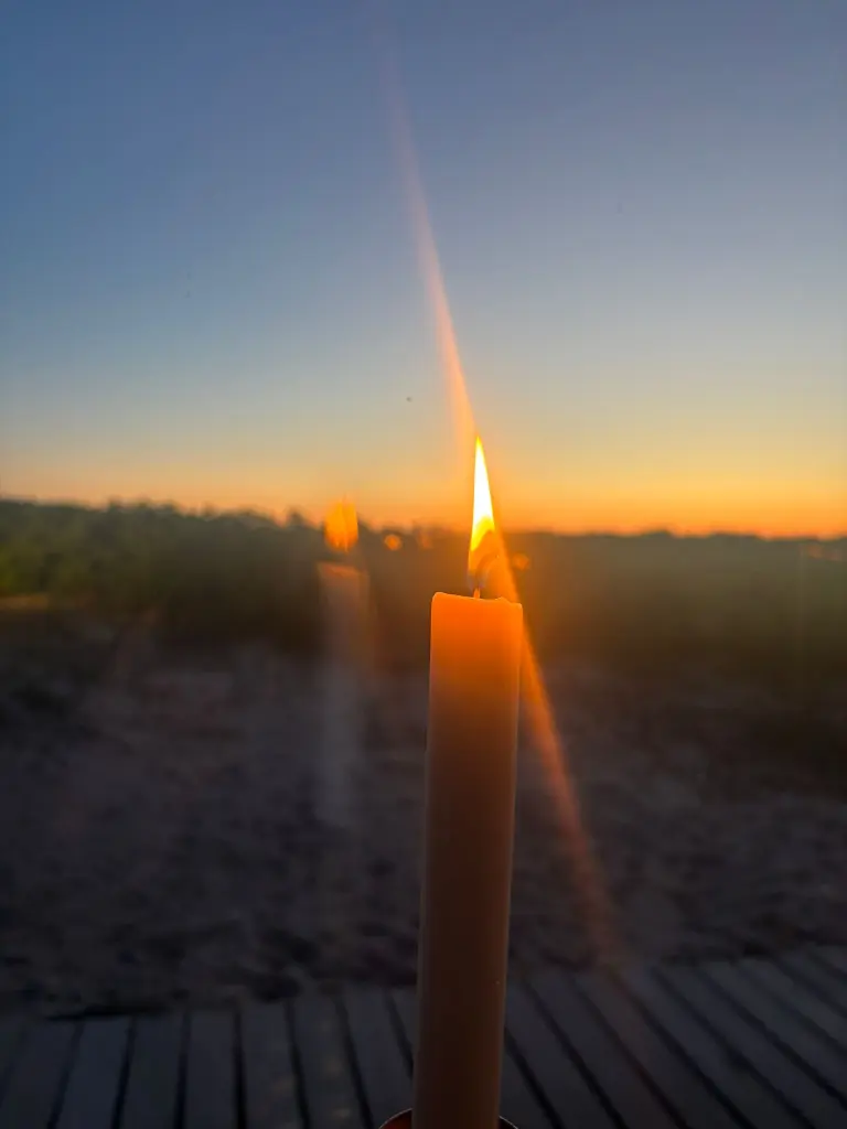 Condolence image of Daisy Seddigh- Raig