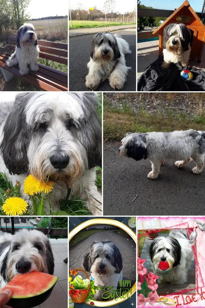 Bild von Cappo