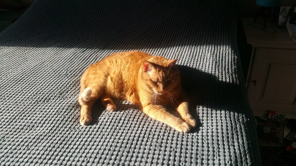 In der Sonne tanken