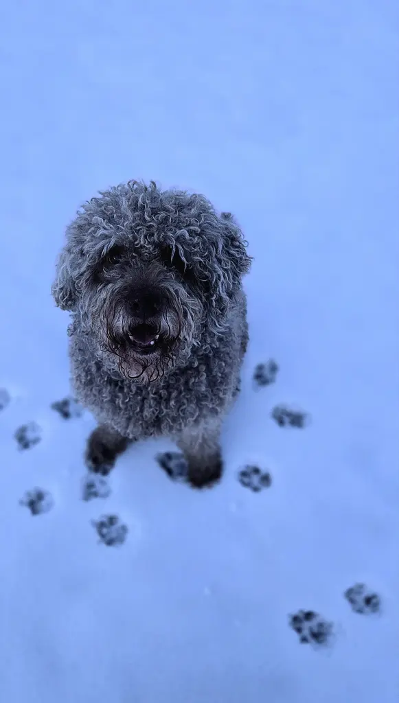 Bild von Apollo