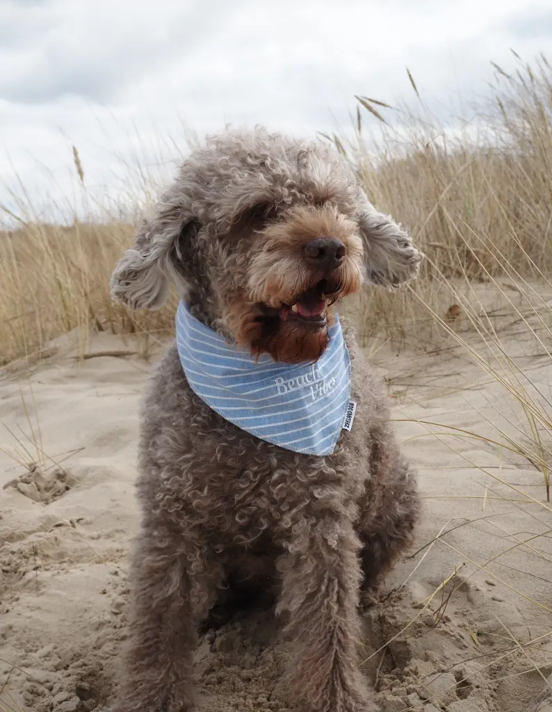 Glücklich am Strand
