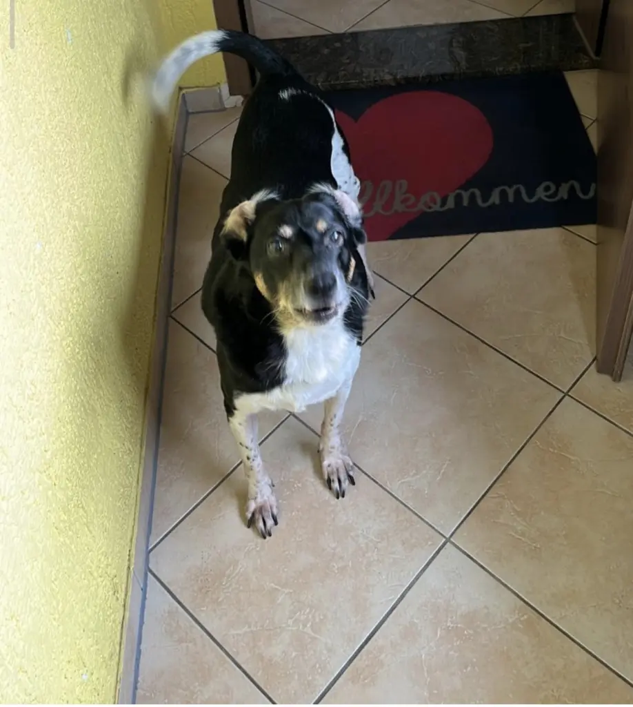 Bild von Terry