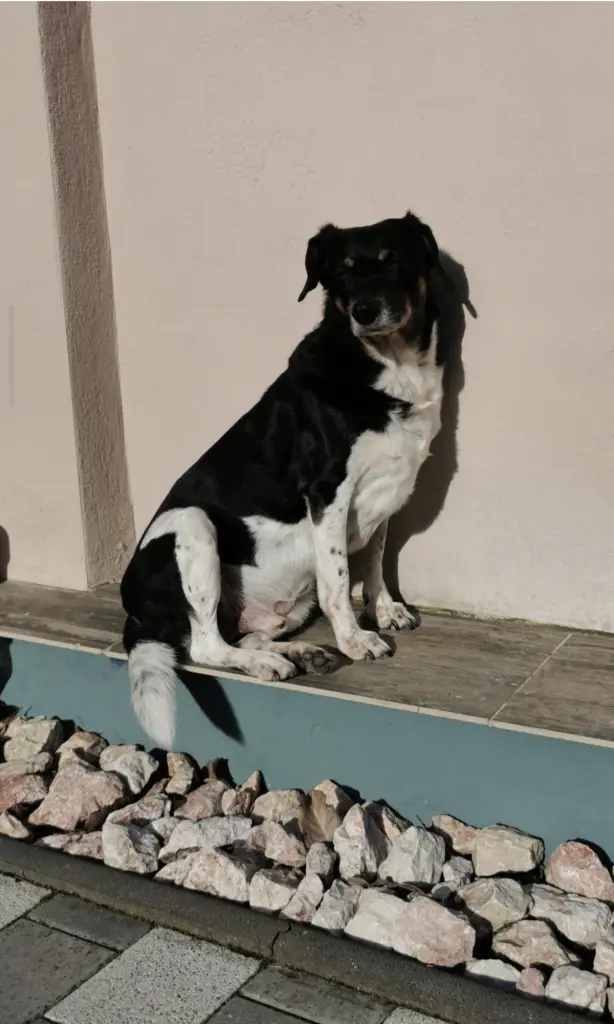 Bild von Terry