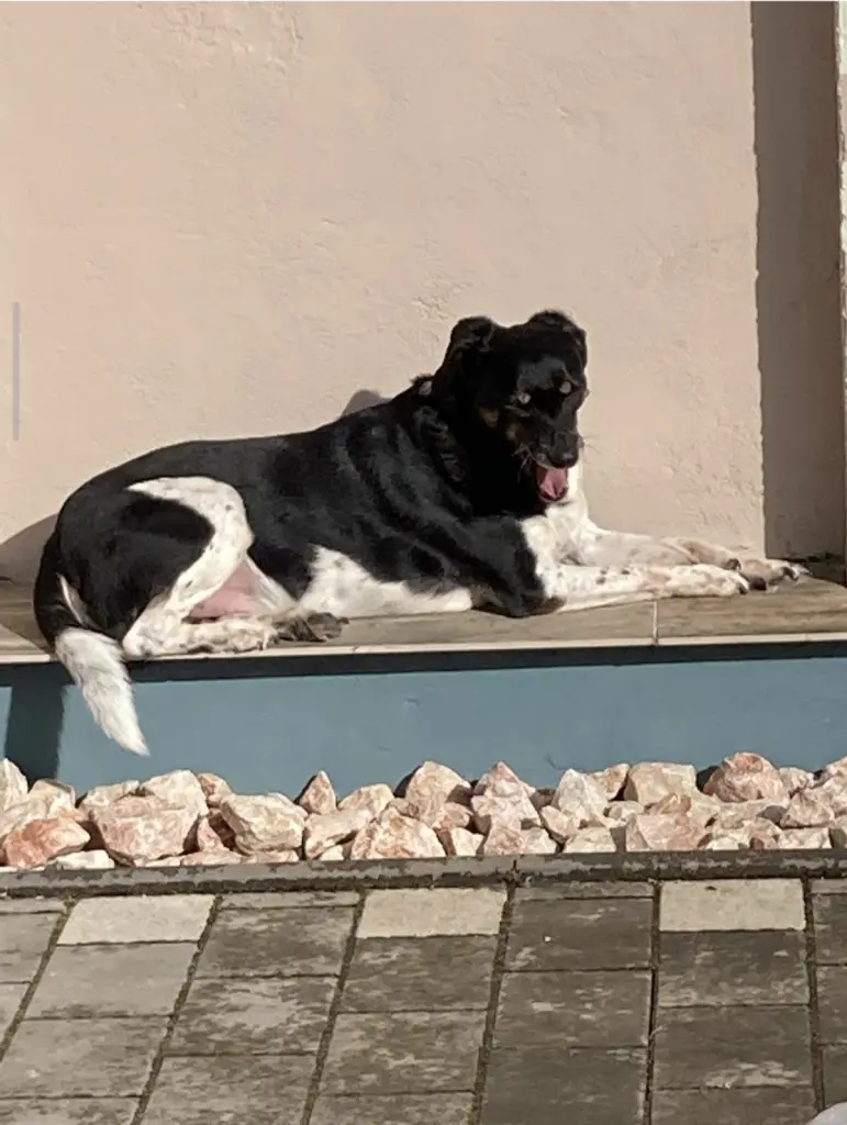 Bild von Terry