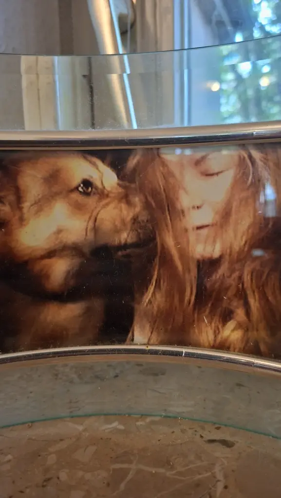 Image from Hachiko