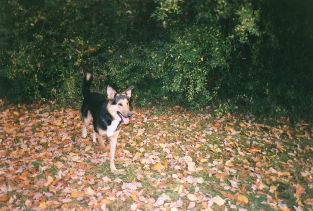 Condolence image of Marion
