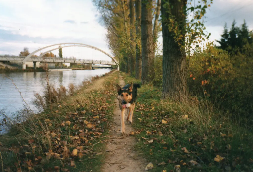 Image from REX