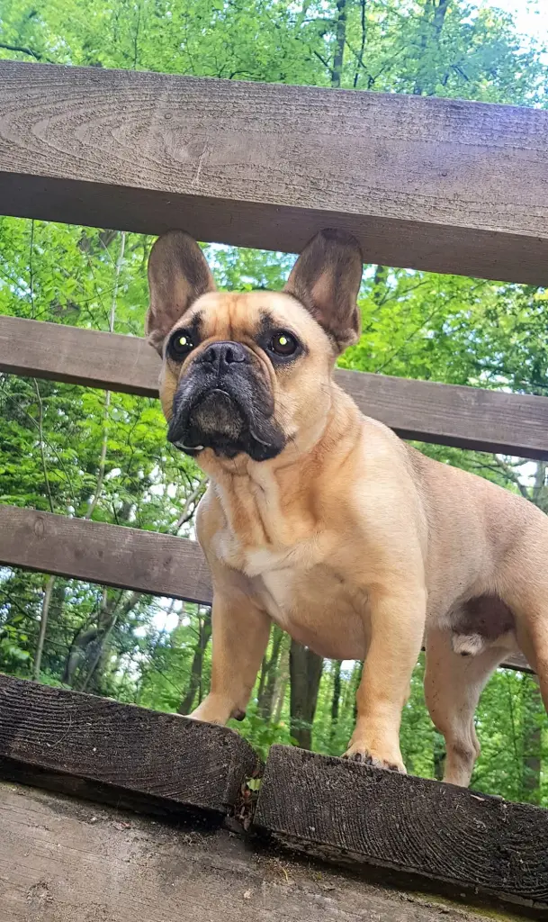 Bild von Freddy