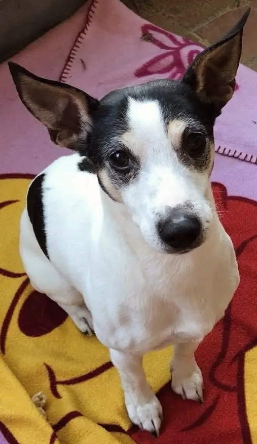Bild von Jacko