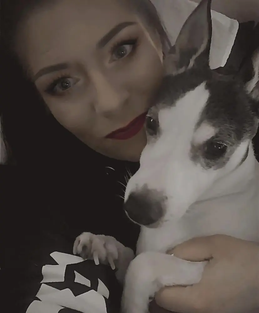 Bild von Jacko