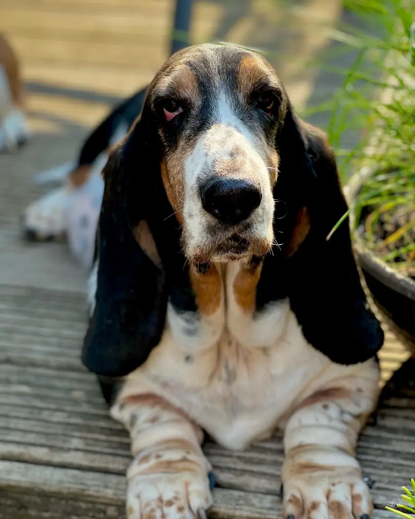 Bild von Betty-Lou