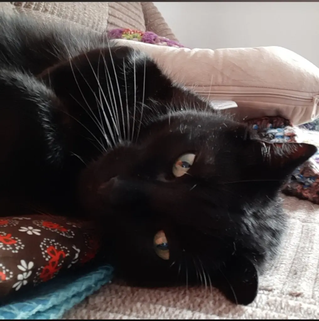 Bild von Michi