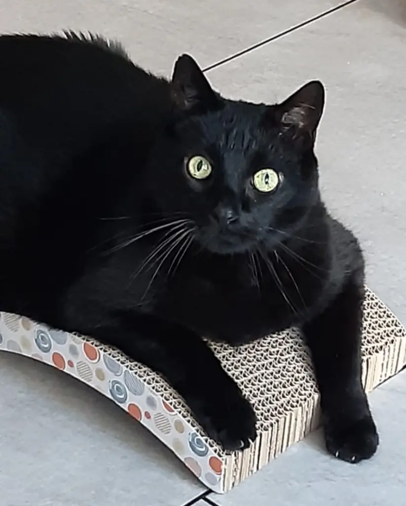 Bild von Michi