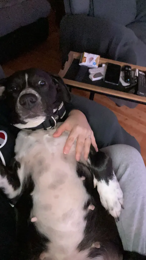 Traumatizzata