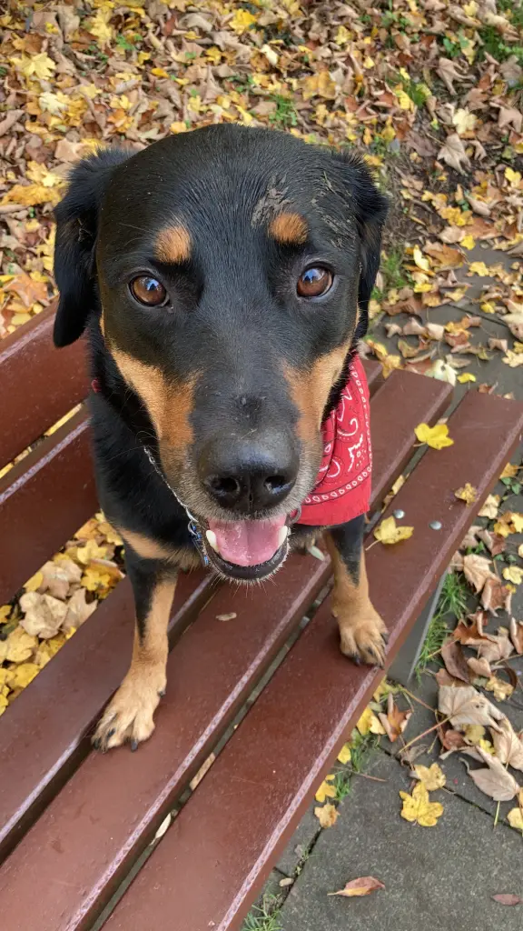 ♥️