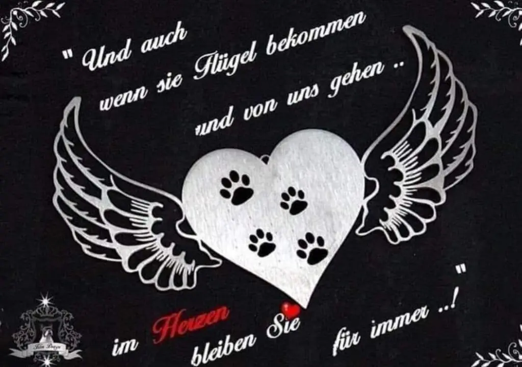 Condolence image of Anne Schnorbach