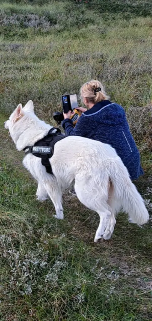 Bild von Ayla