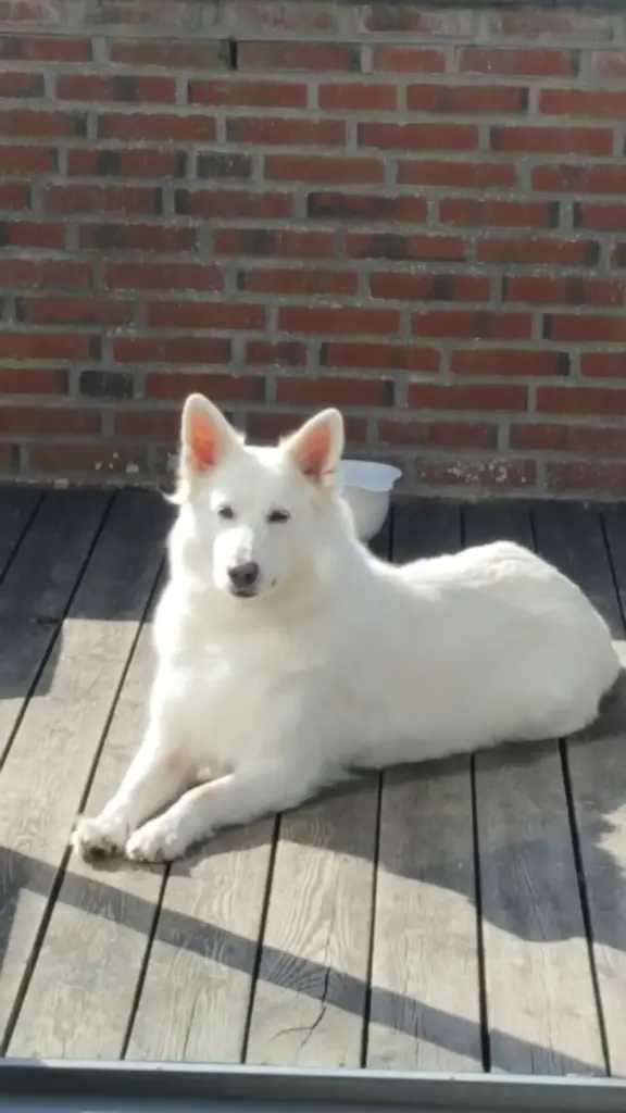 Bild von Ayla